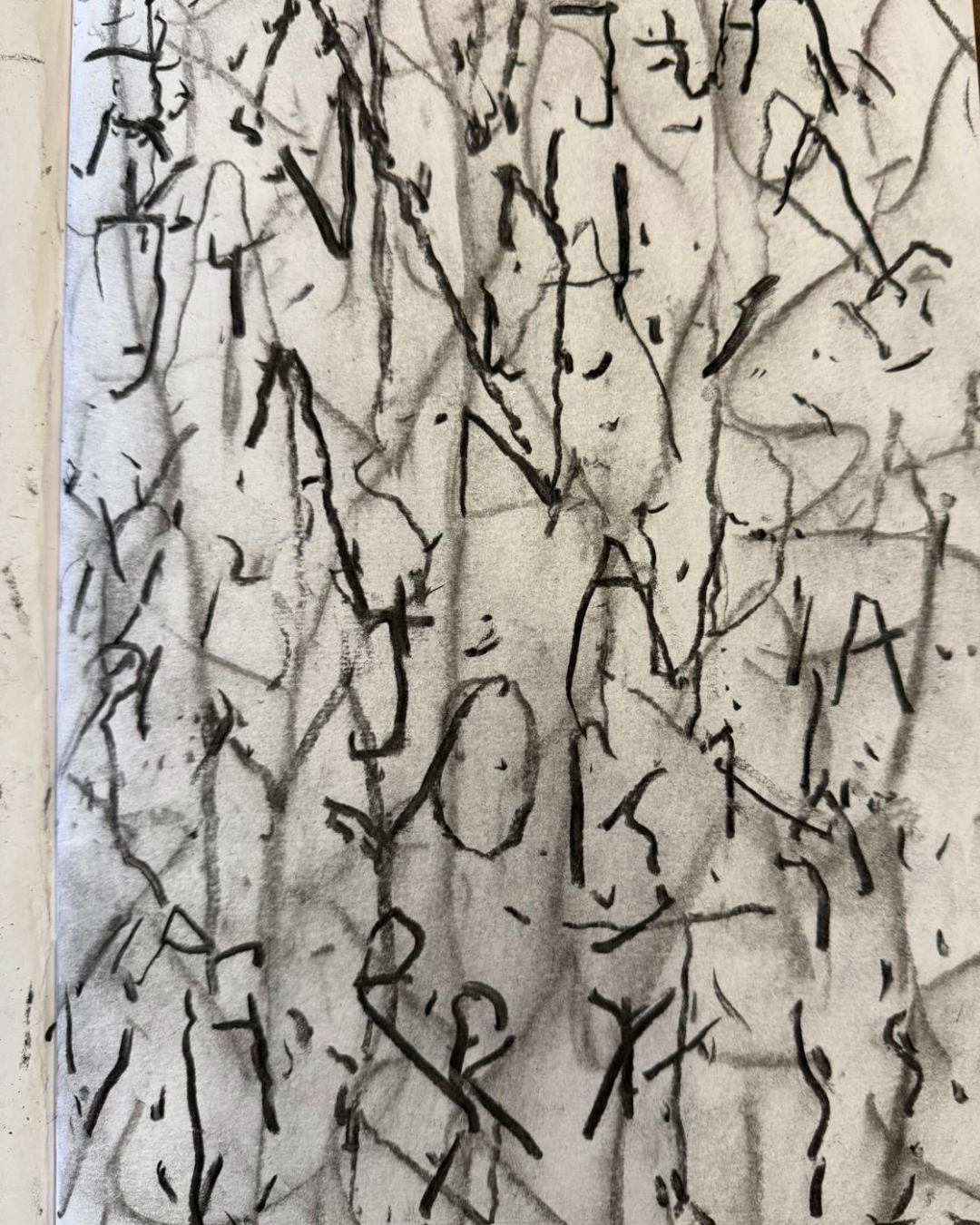 Untitled - December 14, 2025 at 13.16.20-85